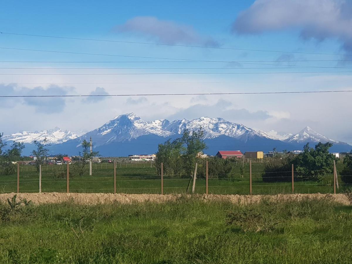 Hotel Casa Verde Puerto Natales Kültér fotó